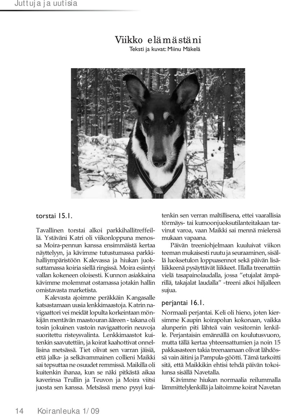 Moira esiintyi vallan kokeneen oloisesti. Kunnon asiakkaina kävimme molemmat ostamassa jotakin hallin omistavasta marketista. Kalevasta ajoimme peräkkäin Kangasalle katsastamaan uusia lenkkimaastoja.