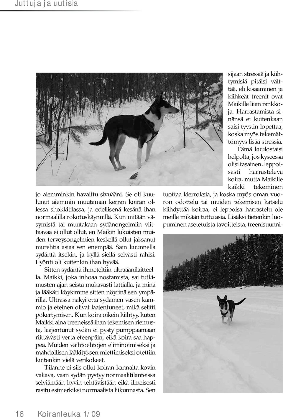 Sain kuunnella sydäntä itsekin, ja kyllä siellä selvästi rahisi. Lyönti oli kuitenkin ihan hyvää. Sitten sydäntä ihmeteltiin ultraäänilaitteella.