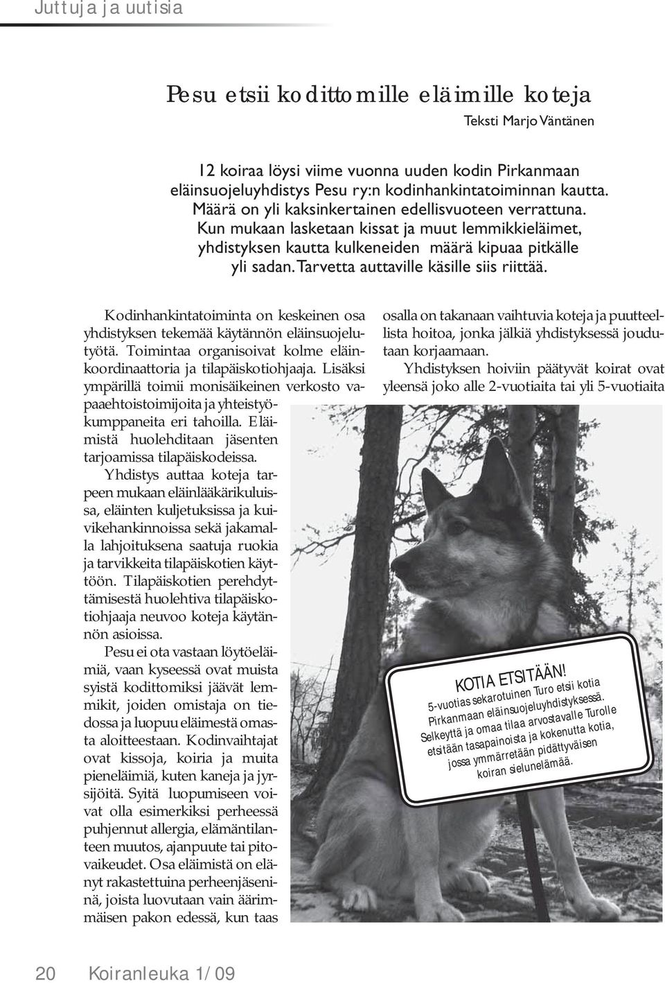 Tarvetta auttaville käsille siis riittää. Kodinhankintatoiminta on keskeinen osa yhdistyksen tekemää käytännön eläinsuojelutyötä.