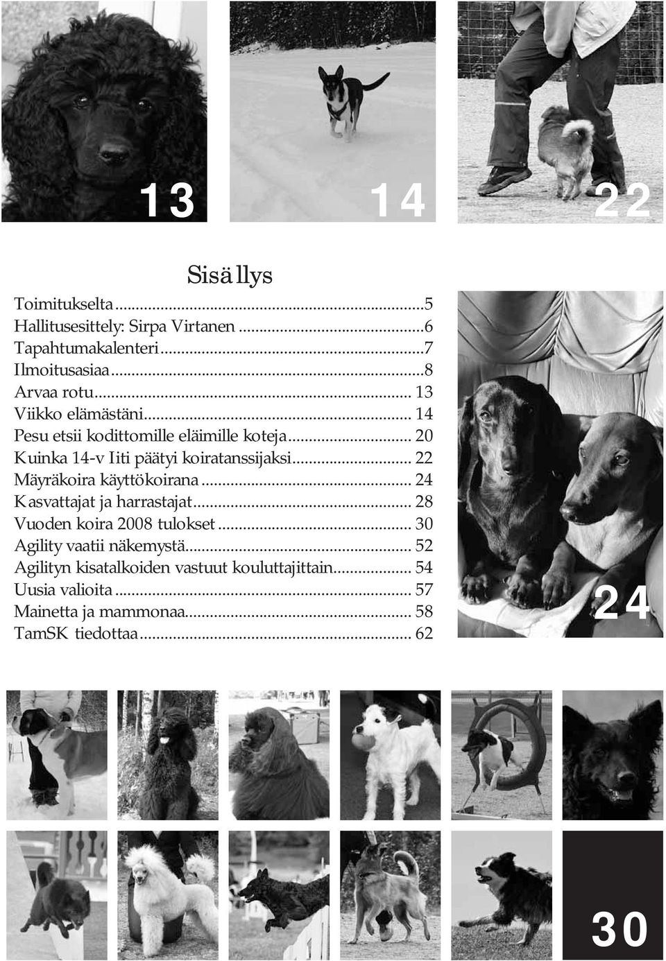 .. 22 Mäyräkoira käyttökoirana... 24 Kasvattajat ja harrastajat... 28 Vuoden koira 2008 tulokset... 30 Agility vaatii näkemystä.