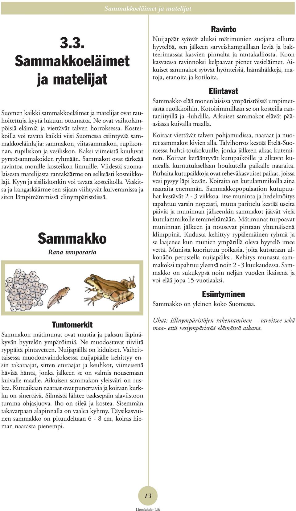 Kosteikoilla voi tavata kaikki viisi Suomessa esiintyvää sammakkoeläinlajia: sammakon, viitasammakon, rupikonnan, rupiliskon ja vesiliskon. Kaksi viimeistä kuuluvat pyrstösammakoiden ryhmään.