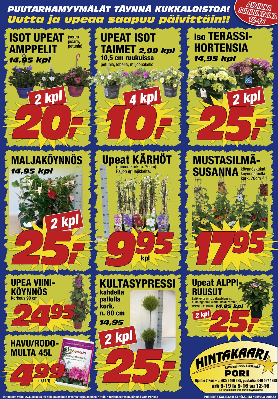 kpl 20,- 2 kpl MALJAKÖYNNÖS 14, kpl Upeat KÄRHÖT (taimen kork. n. 70cm). Paljon eri lajikkeita. MUSTASILMÄ- SUSANNA köynnöskukat köynnöstuella kork.