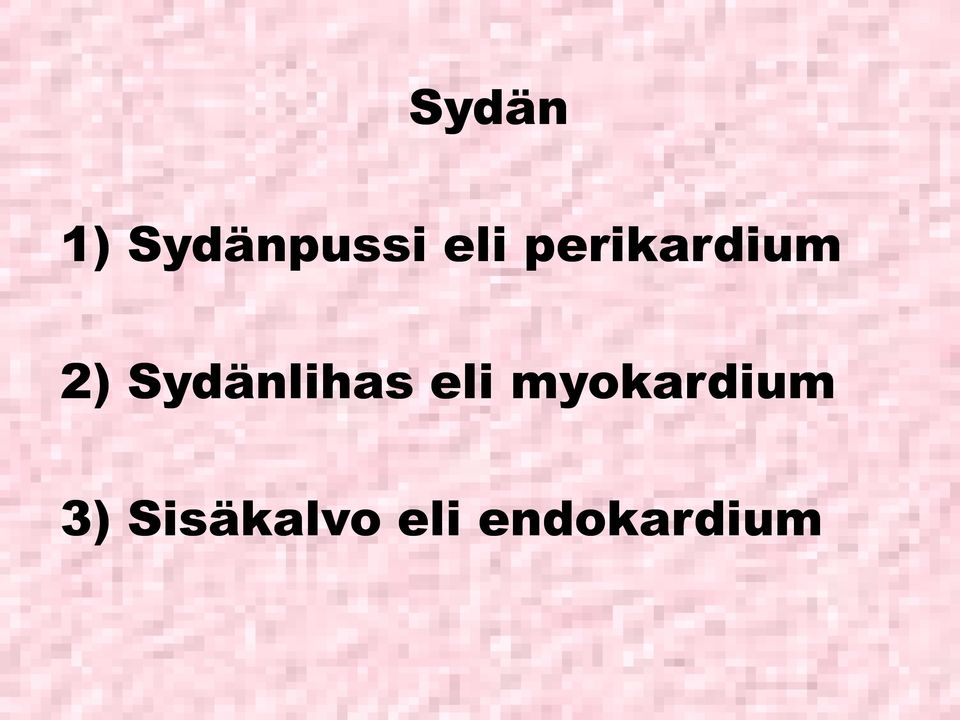 Sydänlihas eli