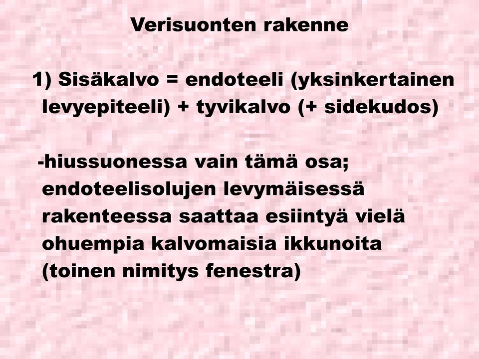 osa; endoteelisolujen levymäisessä rakenteessa saattaa