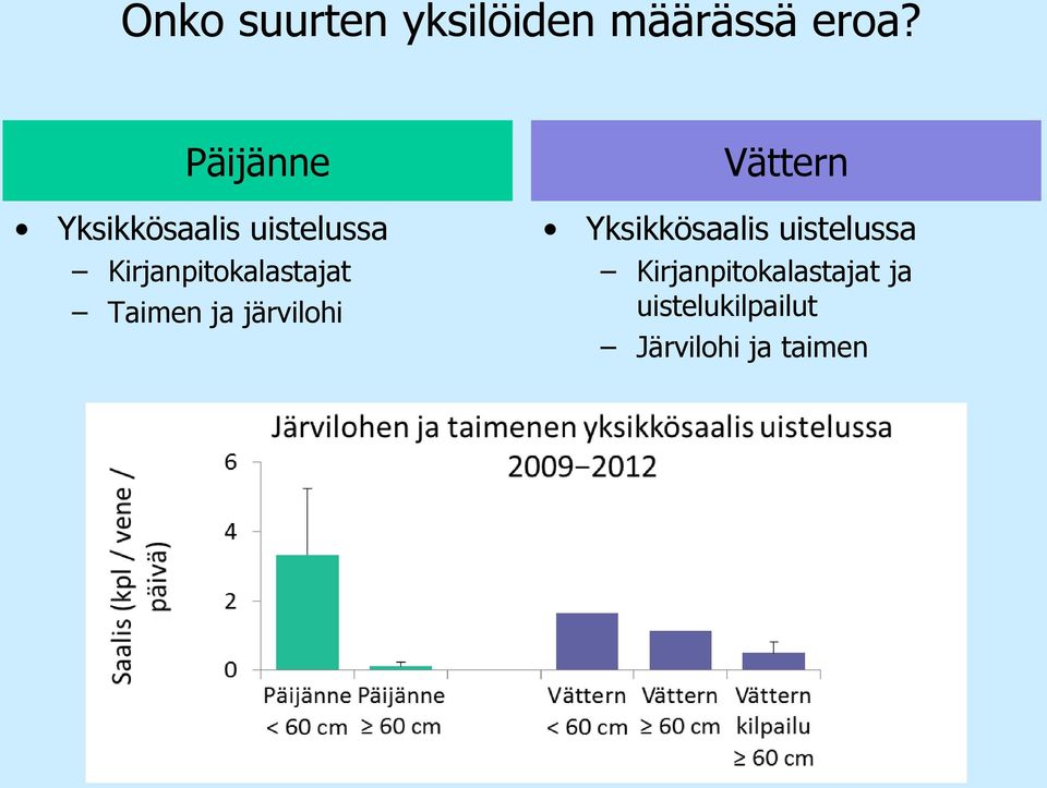 Taimen ja järvilohi  ja uistelukilpailut