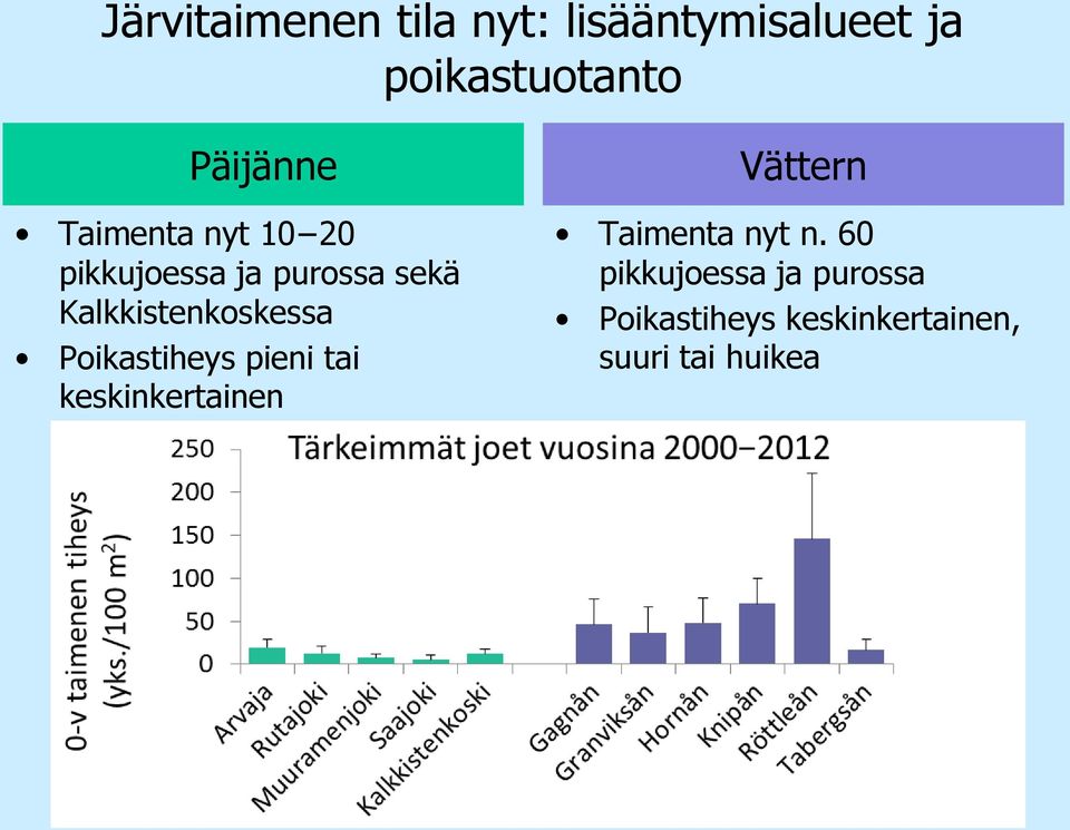 Kalkkistenkoskessa Poikastiheys pieni tai keskinkertainen