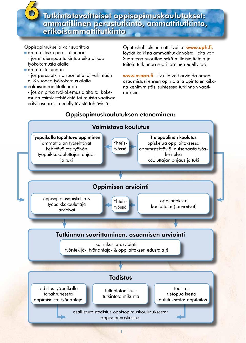 3 vuoden työkokemus alalta erikoisammattitutkinnon - jos on pitkä työkokemus alalta tai kokemusta esimiestehtävistä tai muista vaativaa erityisosaamista edellyttävistä tehtävistä.