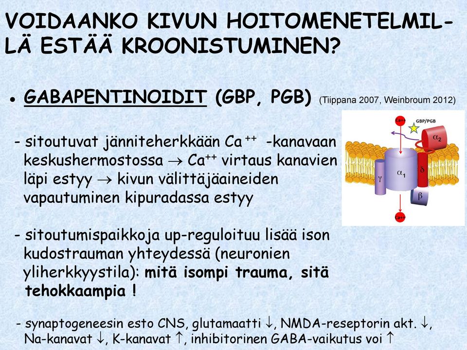 virtaus kanavien läpi estyy kivun välittäjäaineiden vapautuminen kipuradassa estyy - sitoutumispaikkoja up-reguloituu lisää ison