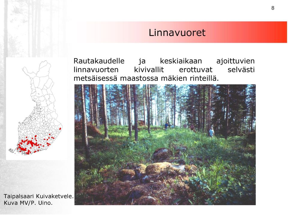 erottuvat selvästi metsäisessä maastossa