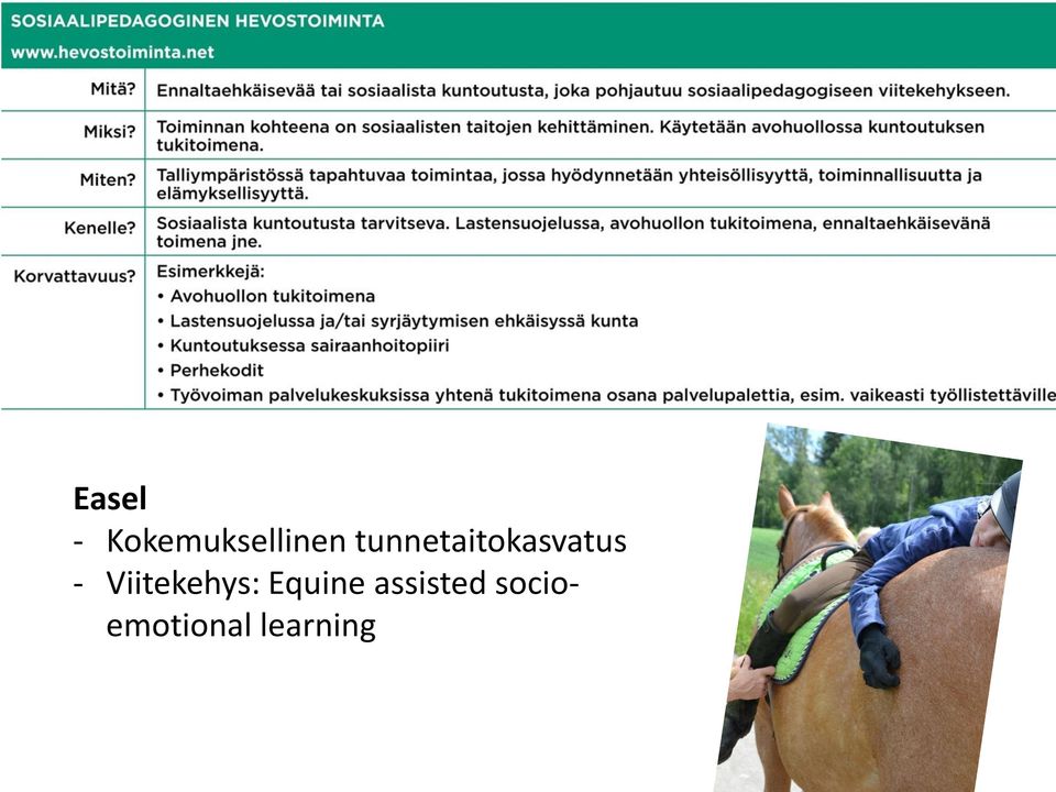 Viitekehys: Equine