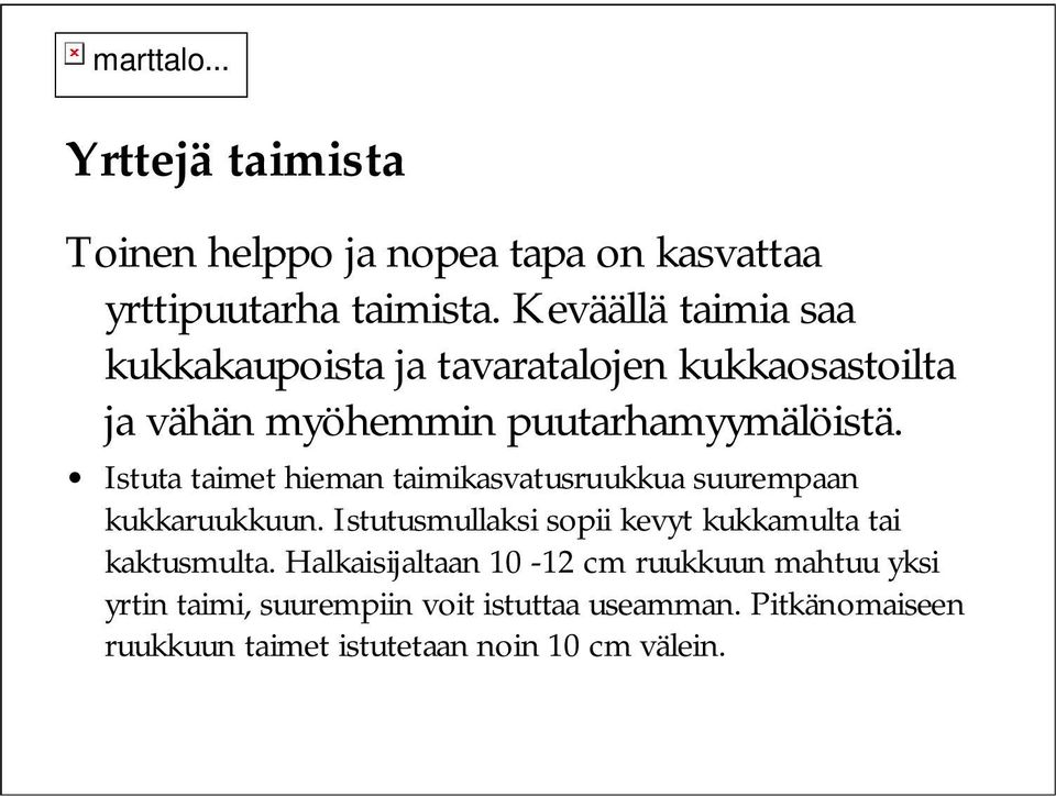 Istuta taimet hieman taimikasvatusruukkua suurempaan kukkaruukkuun.