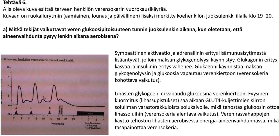 a) Mitkä tekijät vaikuttavat veren glukoosipitoisuuteen tunnin juoksulenkin aikana, kun oletetaan, että aineenvaihdunta pysyy lenkin aikana aerobisena?