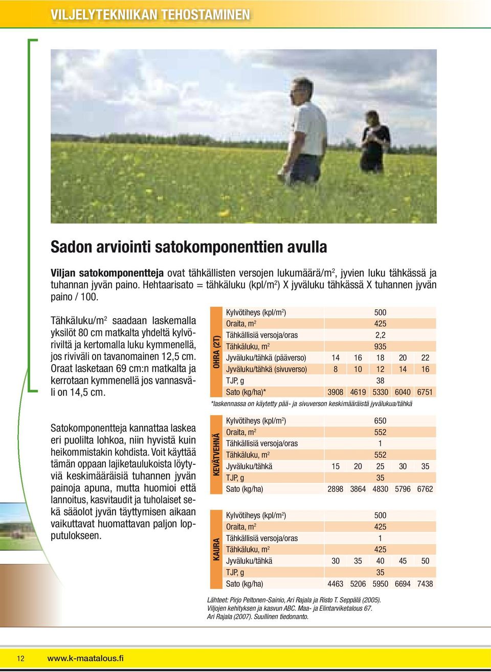 Tähkäluku/m 2 saadaan laskemalla yksilöt 80 cm matkalta yhdeltä kylvöriviltä ja kertomalla luku kymmenellä, jos riviväli on tavanomainen 12,5 cm.