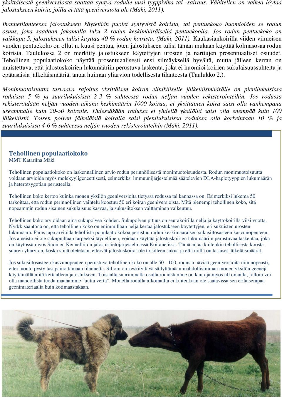 Jos rodun pentuekoko on vaikkapa 5, jalostukseen tulisi käyttää 40 % rodun koirista. (Mäki, 2011). Kaukasiankoirilla viiden viimeisen vuoden pentuekoko on ollut n.