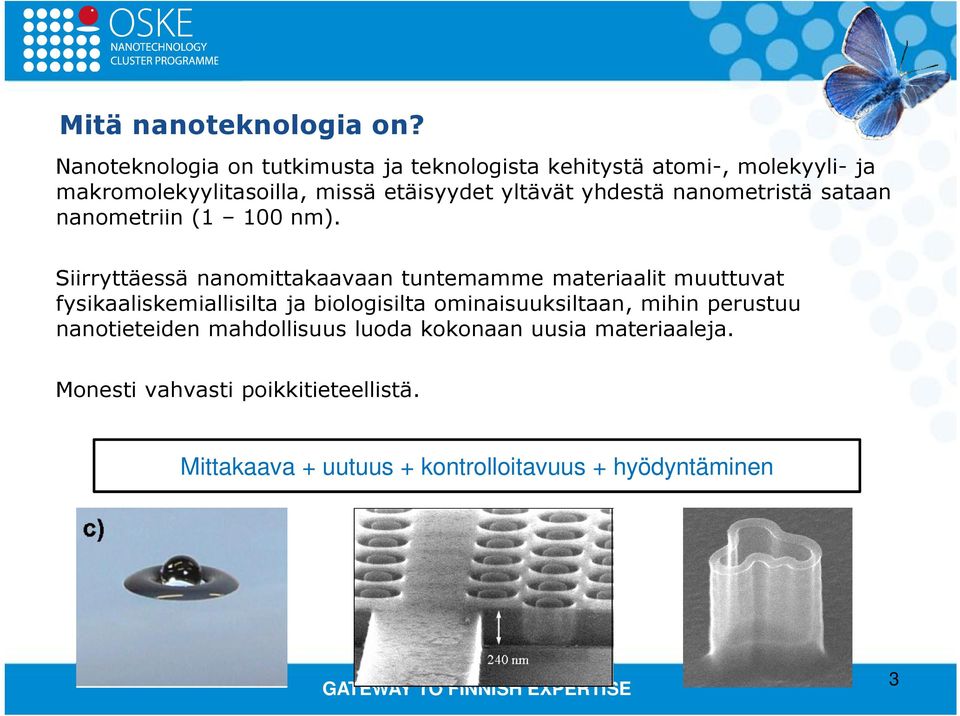 yltävät yhdestä nanometristä sataan nanometriin (1 100 nm).