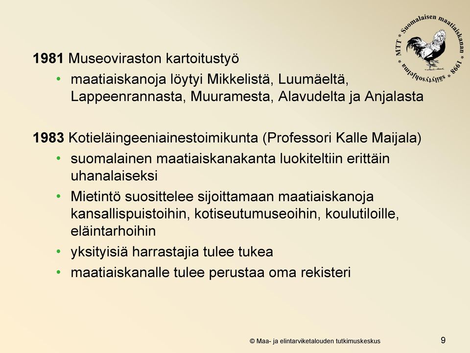 uhanalaiseksi Mietintö suosittelee sijoittamaan maatiaiskanoja kansallispuistoihin, kotiseutumuseoihin, koulutiloille,