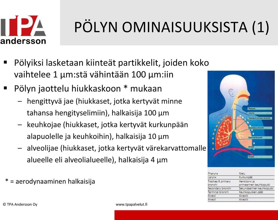 keuhkojae (hiukkaset, jotka kertyvät kurkunpään alapuolelle ja keuhkoihin), halkaisija 10 μm alveolijae (hiukkaset, jotka