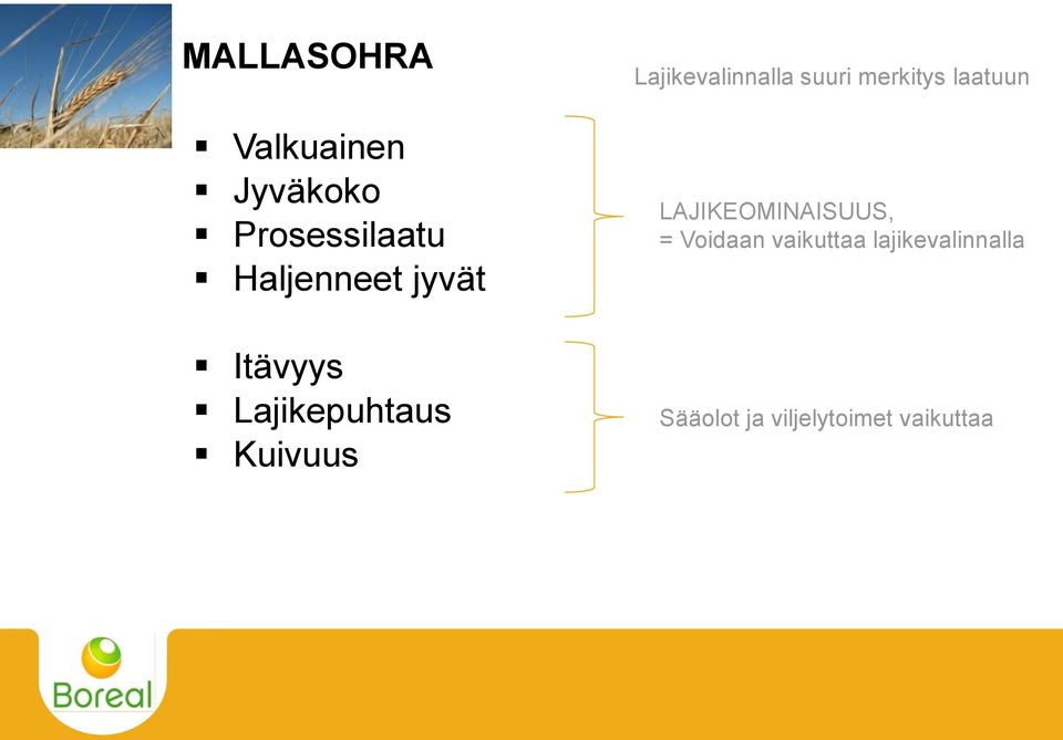 suuri merkitys laatuun LAJIKEOMINAISUUS, = Voidaan