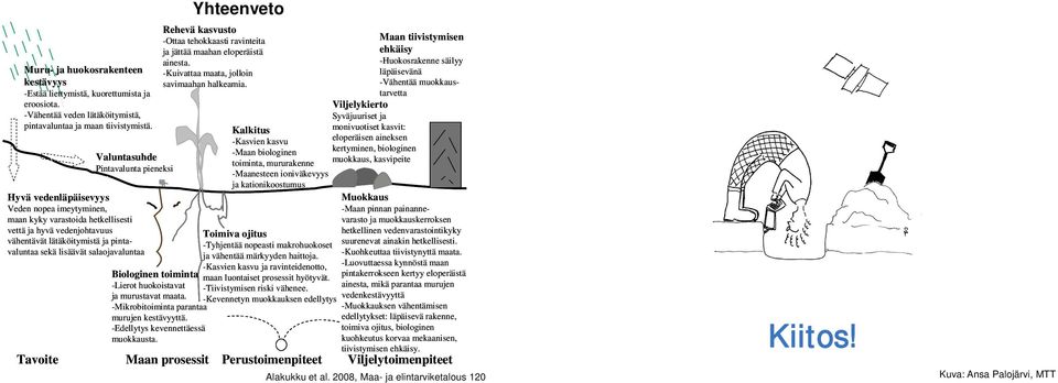 -Vähentää veden lätäköitymistä, Viljelykierto Syväjuuriset ja pintavaluntaa ja maan tiivistymistä.