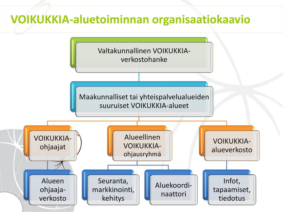 VOIKUKKIAverkostohanke VOIKUKKIAohjaajat Alueellinen VOIKUKKIAohjausryhmä