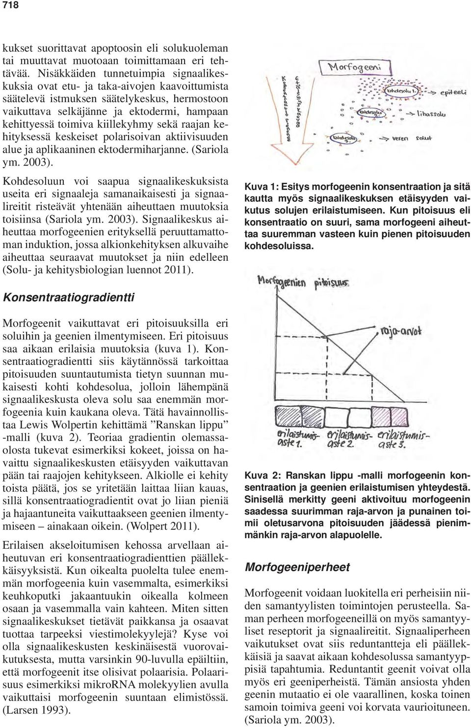 kiillekyhmy sekä raajan kehityksessä keskeiset polarisoivan aktiivisuuden alue ja aplikaaninen ektodermiharjanne. (Sariola ym. 2003).
