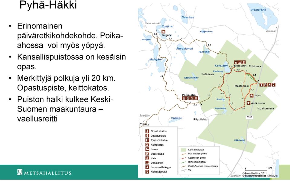 Kansallispuistossa on kesäisin opas.