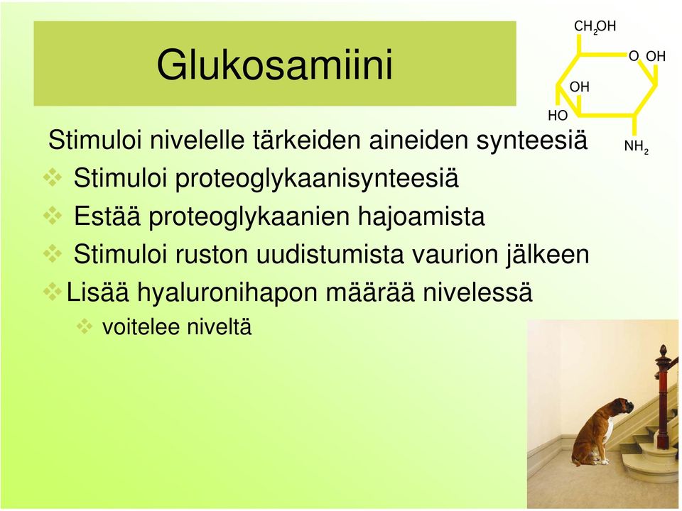 proteoglykaanien hajoamista Stimuloi ruston uudistumista