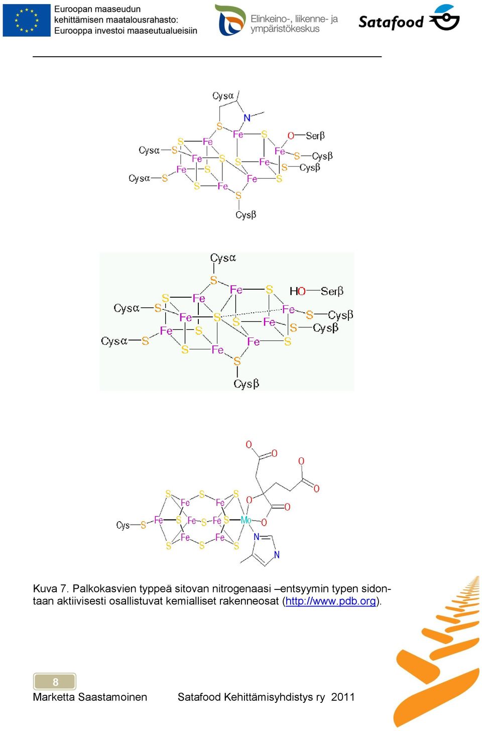 nitrogenaasi entsyymin typen