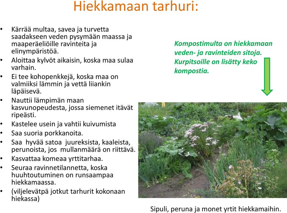 Kastelee usein ja vahtii kuivumista Saa suoria porkkanoita. Saa hyvää satoa juureksista, kaaleista, perunoista, jos mullanmäärä on riittävä. Kasvattaa komeaa yrttitarhaa.