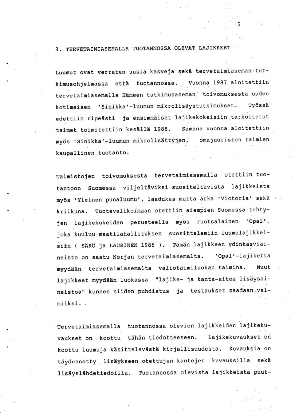 Työssä edettiin ripeästi ja ensimmäiset 1ajikekokeisiin tarkoitetut taimet toimitettiin kesällä 1988.