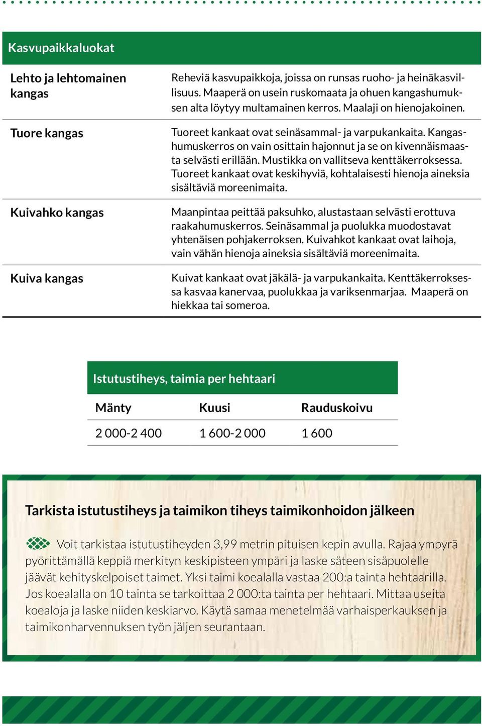 Kangashumuskerros on vain osittain hajonnut ja se on kivennäismaasta selvästi erillään. Mustikka on vallitseva kenttäkerroksessa.