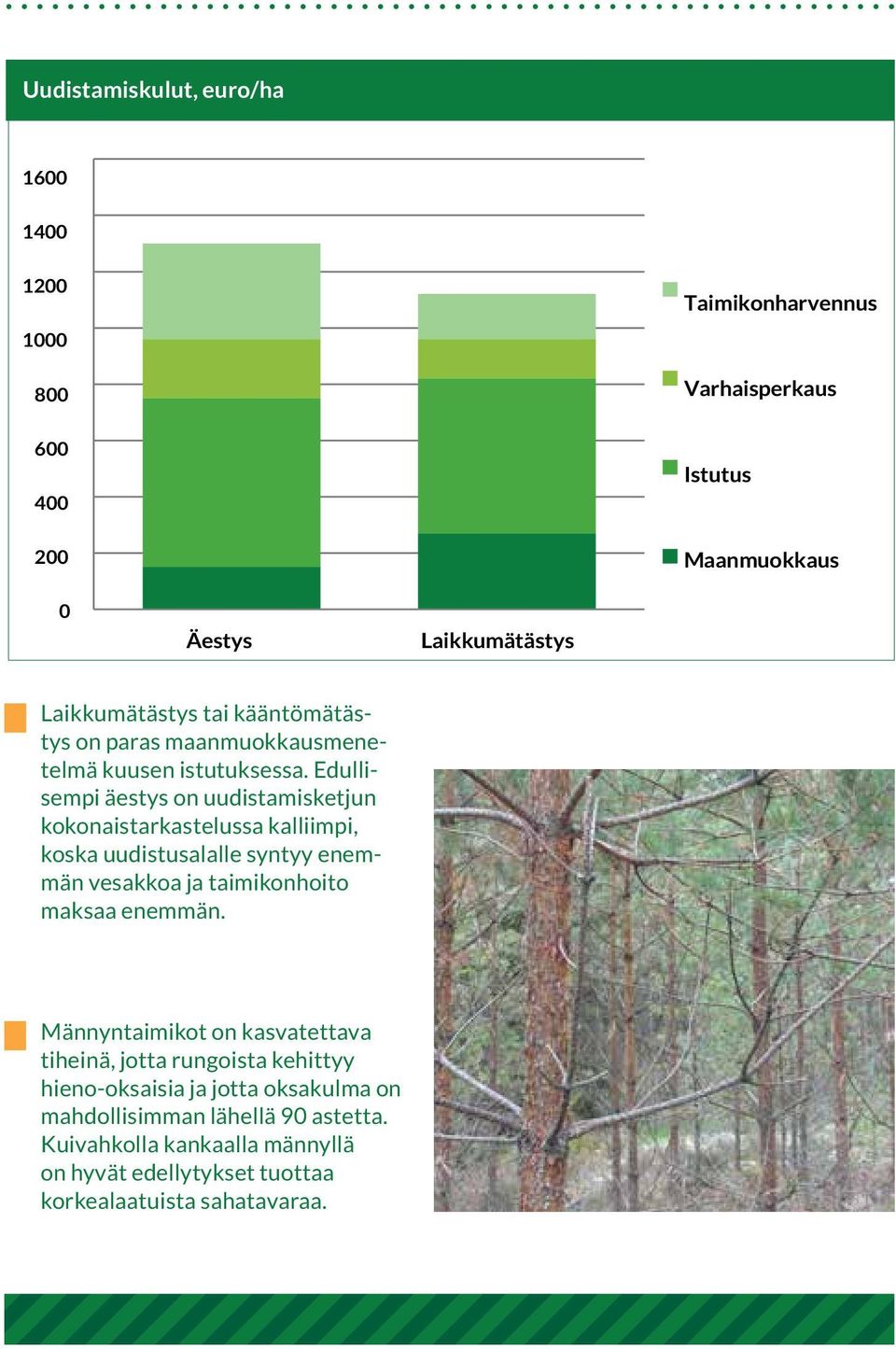 Edullisempi äestys on uudistamisketjun kokonaistarkastelussa kalliimpi, koska uudistusalalle syntyy enemmän vesakkoa ja taimikonhoito maksaa enemmän.