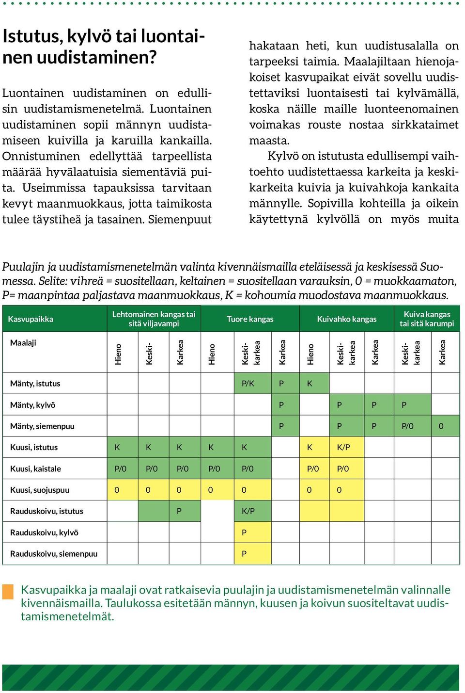 Siemenpuut hakataan heti, kun uudistusalalla on tarpeeksi taimia.