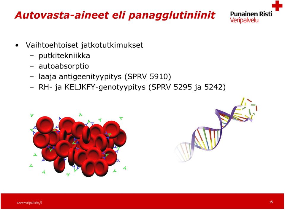 autoabsorptio laaja antigeenityypitys (SPRV