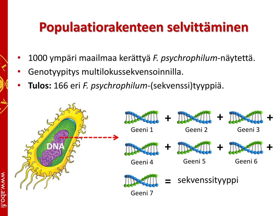 Tulos: 166 eri F. psychrophilum-(sekvenssi)tyyppiä.