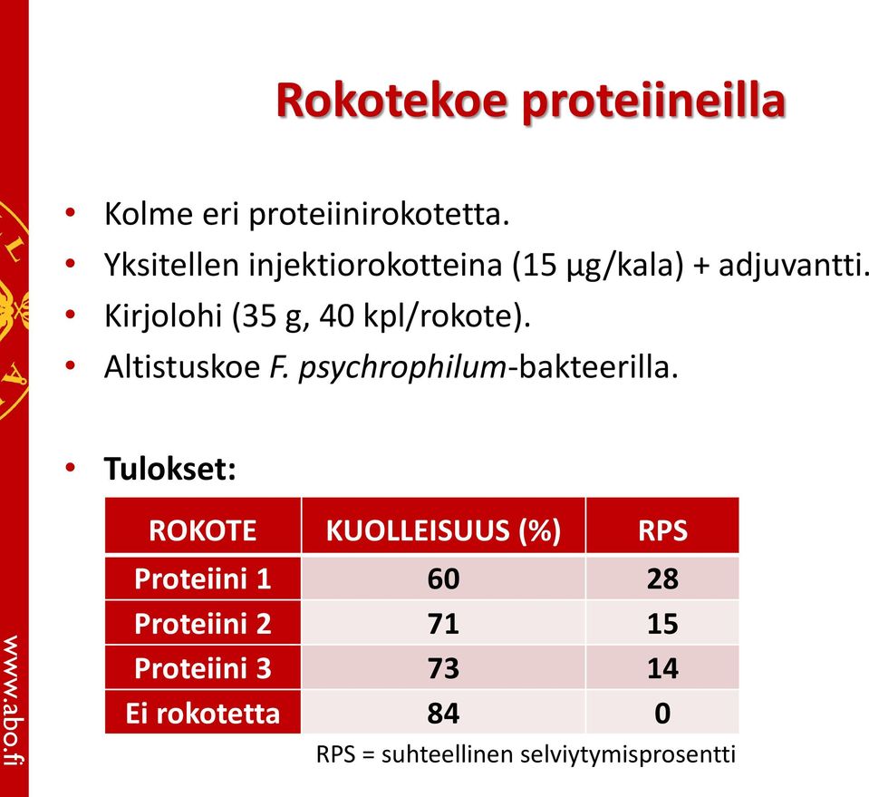 Kirjolohi (35 g, 40 kpl/rokote). Altistuskoe F. psychrophilum-bakteerilla.