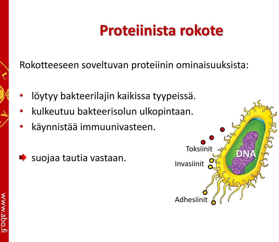 kulkeutuu bakteerisolun ulkopintaan.