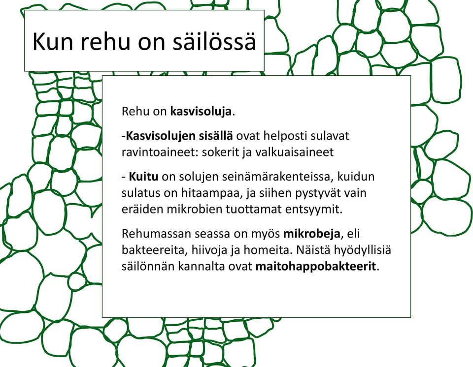 solujen seinämärakenteissa, kuidun sulatus on hitaampaa, ja siihen pystyvät vain eräiden mikrobien