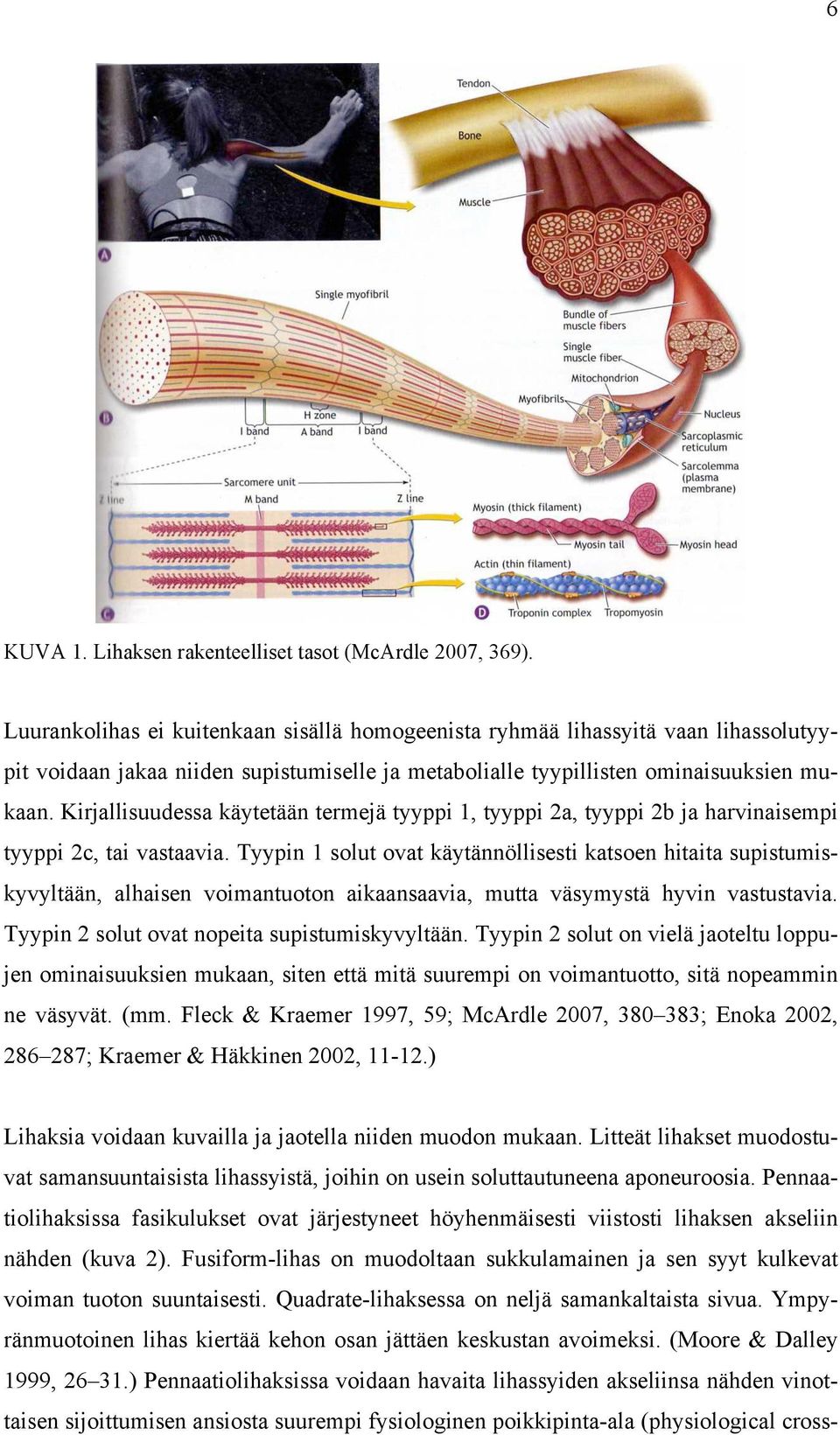 Kirjallisuudessa käytetään termejä tyyppi 1, tyyppi 2a, tyyppi 2b ja harvinaisempi tyyppi 2c, tai vastaavia.