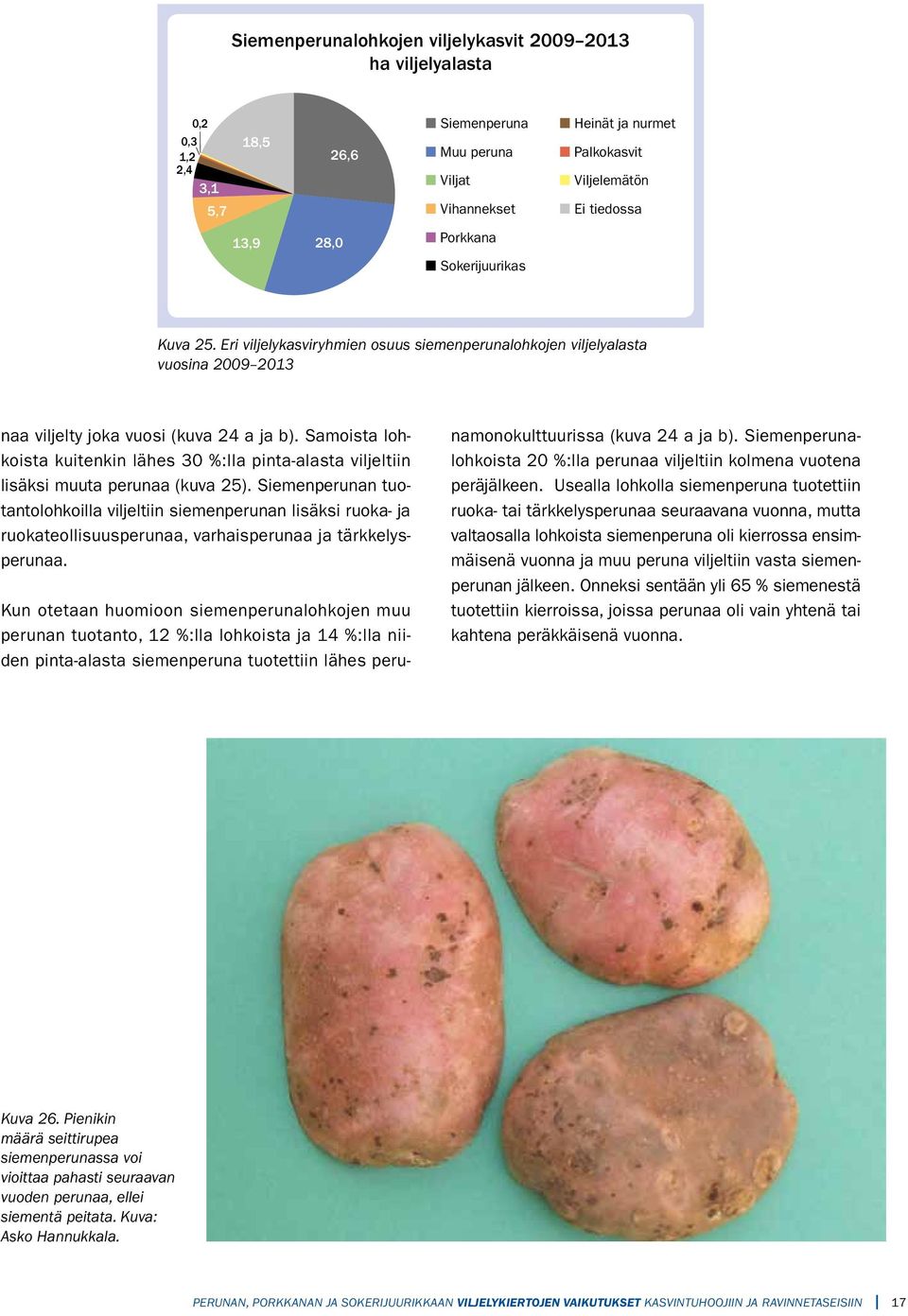 Samoista lohkoista kuitenkin lähes 3 %:lla pinta-alasta viljeltiin lisäksi muuta perunaa (kuva 25).