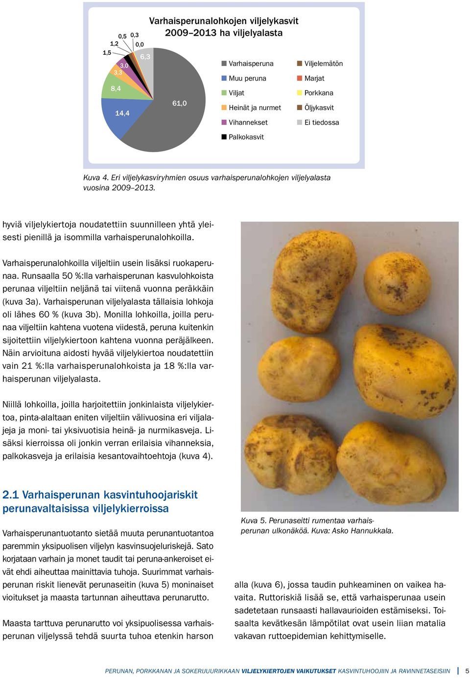 hyviä viljelykiertoja noudatettiin suunnilleen yhtä yleisesti pienillä ja isommilla varhaisperunalohkoilla. Varhaisperunalohkoilla viljeltiin usein lisäksi ruokaperunaa.