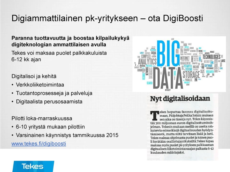 ja kehitä Verkkoliiketoimintaa Tuotantoprosesseja ja palveluja Digitaalista perusosaamista Pilotti