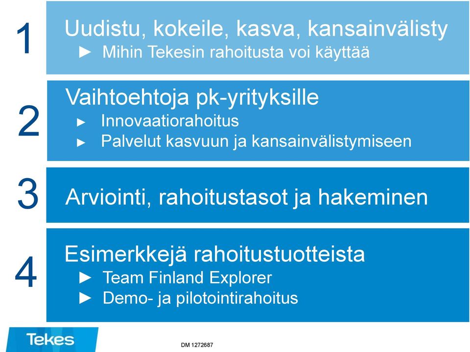 kasvuun ja kansainvälistymiseen Arviointi, rahoitustasot ja hakeminen