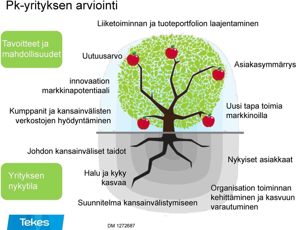 hyödyntäminen Uusi tapa toimia markkinoilla Yrityksen nykytila Johdon kansainväliset taidot Halu ja kyky