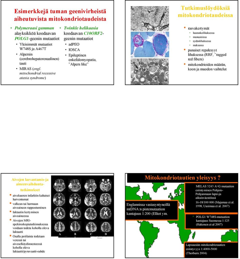 mitochondrial recessive ataxia syndrome) Aivojen kuvantamis-ja aineenvaihdunta- rasvakertymät adpeo IOSCA Epileptinen enkefalomyopatia, Alpers like luurankolihaksessa munuaisissa sydänlihaksessa