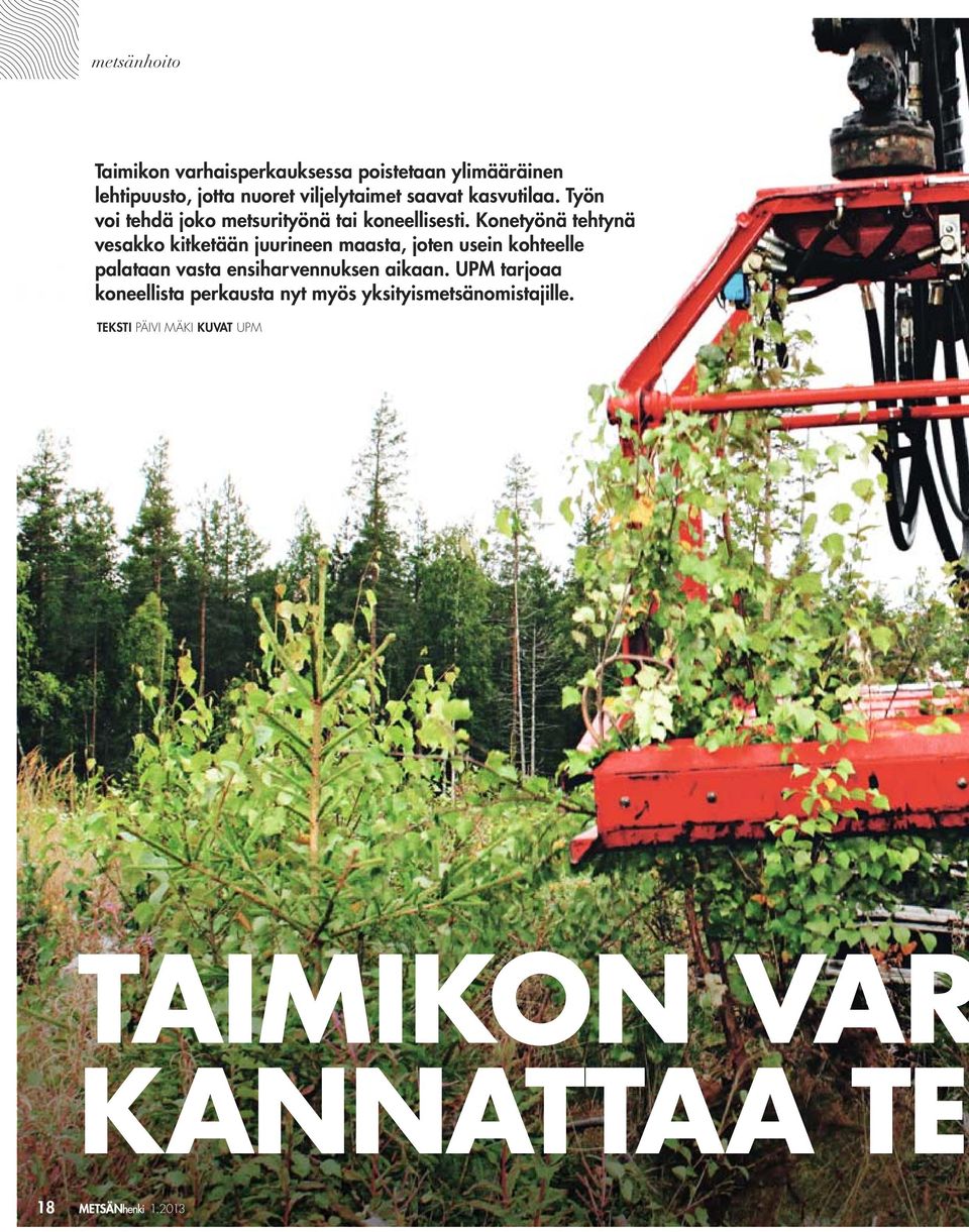Konetyönä tehtynä vesakko kitketään juurineen maasta, joten usein kohteelle palataan vasta