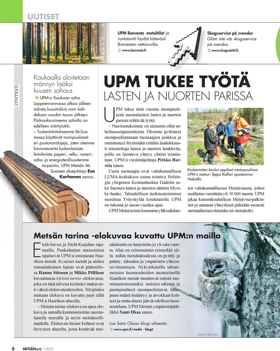 LYHYESTI Kaukaalla aloitetaan männyn lisäksi kuusen sahaus UPM:n Kaukaan saha Lappeenrannassa alkaa jälleen sahata kuusitukkia noin kahdeksan vuoden tauon jälkeen.