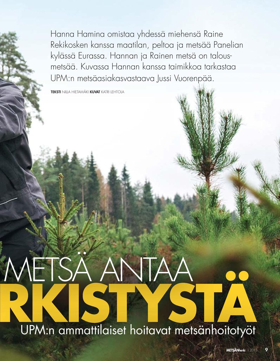 Kuvassa Hannan kanssa taimikkoa tarkastaa UPM:n metsäasiakas vastaava Jussi Vuorenpää.