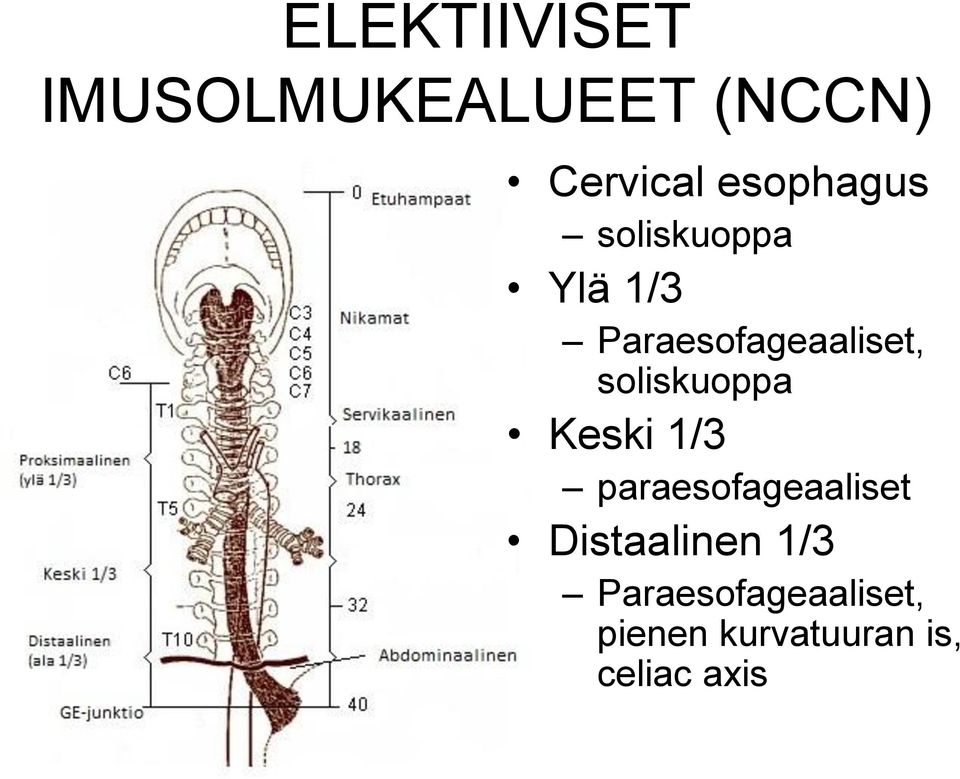 soliskuoppa Keski 1/3 paraesofageaaliset