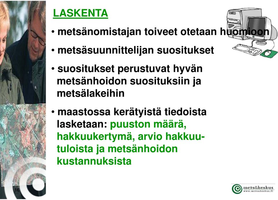 metsälakeihin maastossa kerätyistä tiedoista lasketaan: puuston